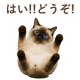 852717949