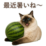852717958