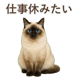 852717970