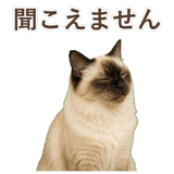 852717971