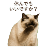 852717973