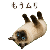 852717974