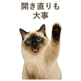 852717976