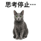852717978