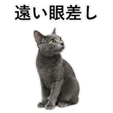 852717980
