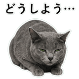 852717983