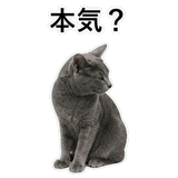 852717985