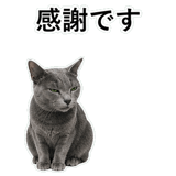 852717987