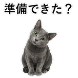 852717988