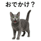 852717989