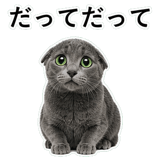 852717991