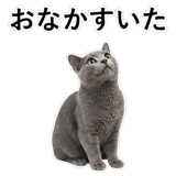852717999