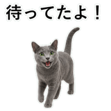 852718000