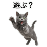 852718009