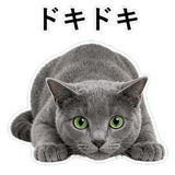 852718010