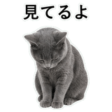 852718012