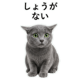 852718013