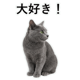 852718014