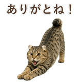 852718017