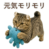 852718020