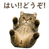 852718029
