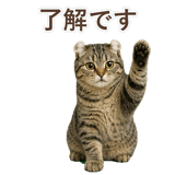 852718043