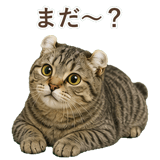 852718044