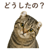 852718046