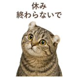 852718049