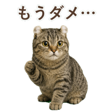 852718052