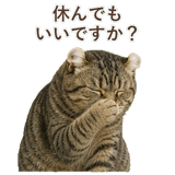 852718053