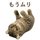 852718054