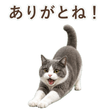 852718057
