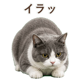 852718058