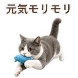 852718060