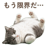 852718061