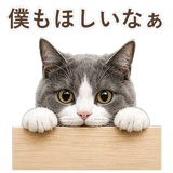 852718062