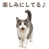 852718063