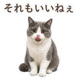 852718065