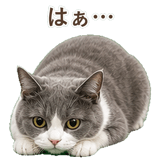852718066