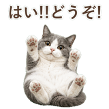 852718069