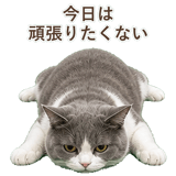 852718070