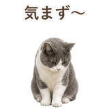 852718072