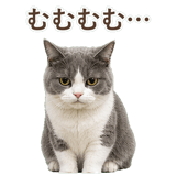 852718074