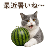 852718078