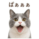 852718082