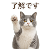 852718083