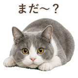852718084