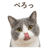 852718085