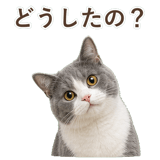 852718086